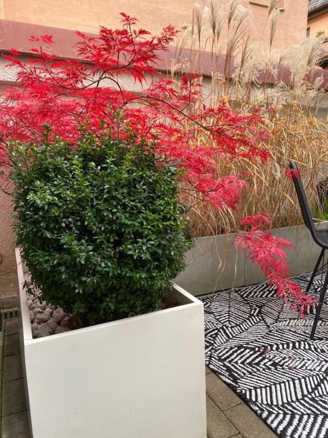 Como Design-Apartment Close To Isar River Area - Centrally Located Múnich Exterior foto
